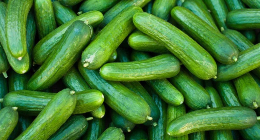 pickle shortage