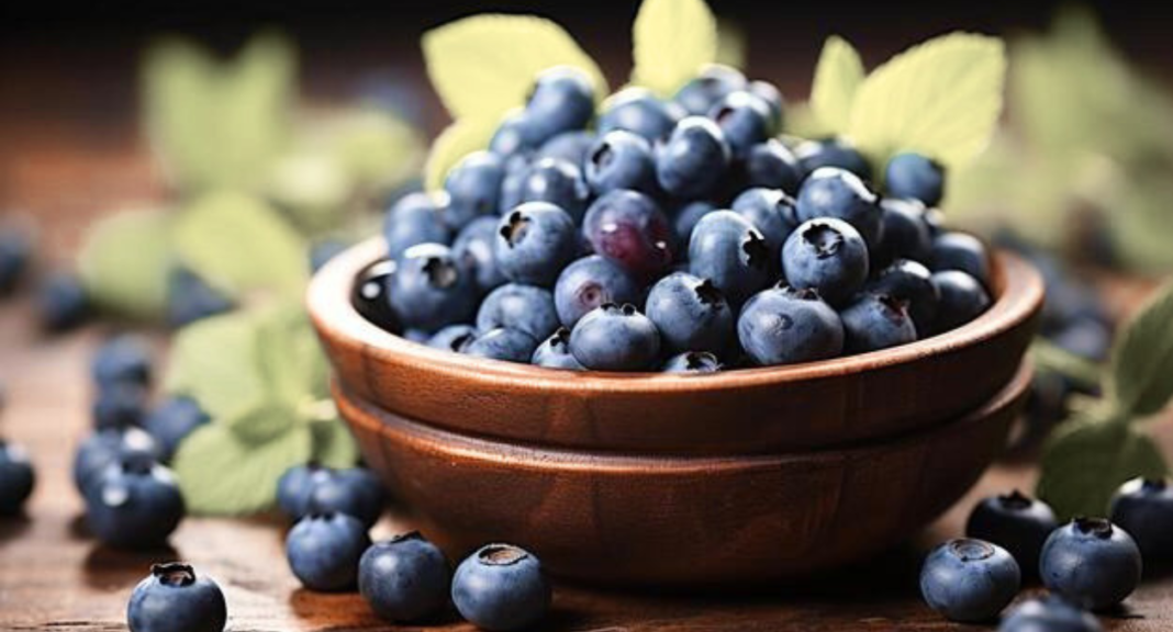 Blueberry Shortage why Your Favorite Superfood Has Disappeared