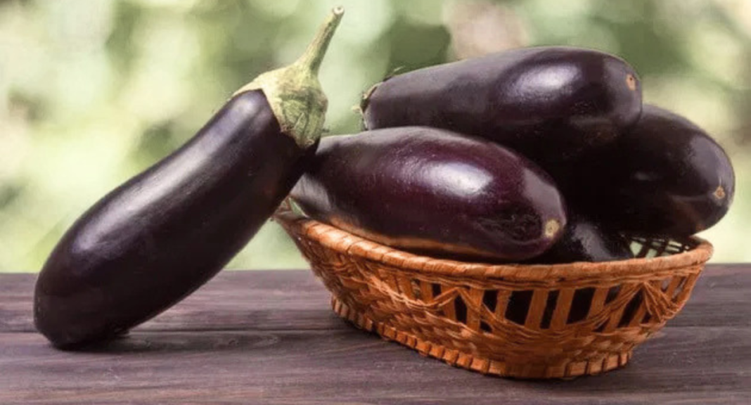 Eggplant Shortage Why Purple Gold is Disappearing from Shelves