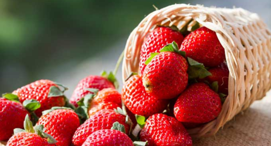 Strawberry Shortage Crisis Causes Skyrocketing Prices