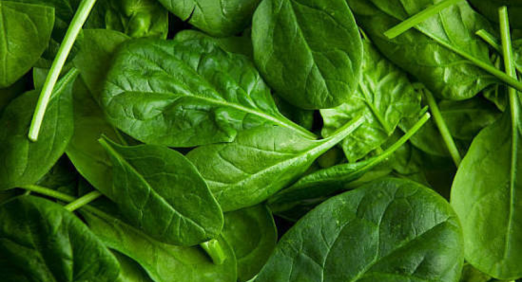spinach shortage