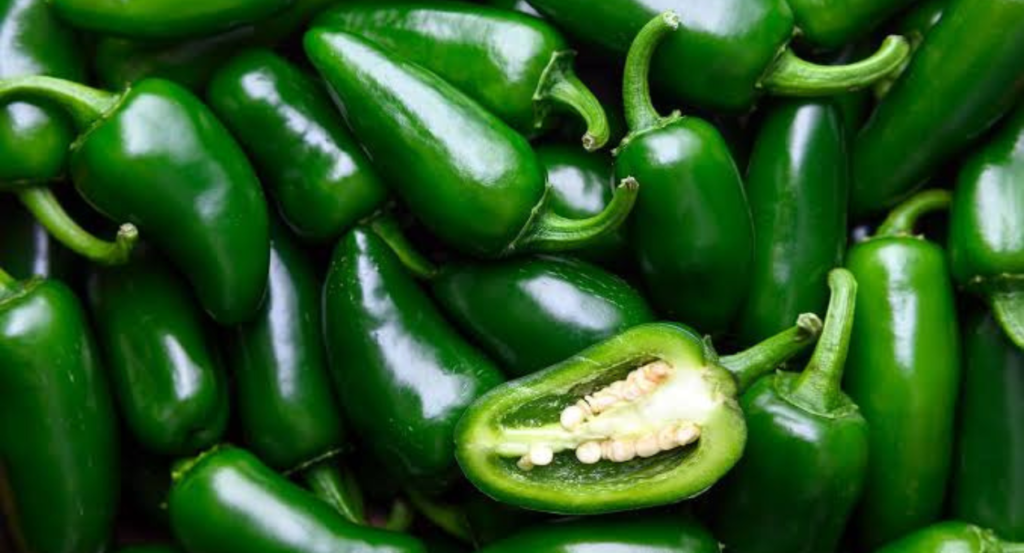 Can Chickens Eat Jalapeños
